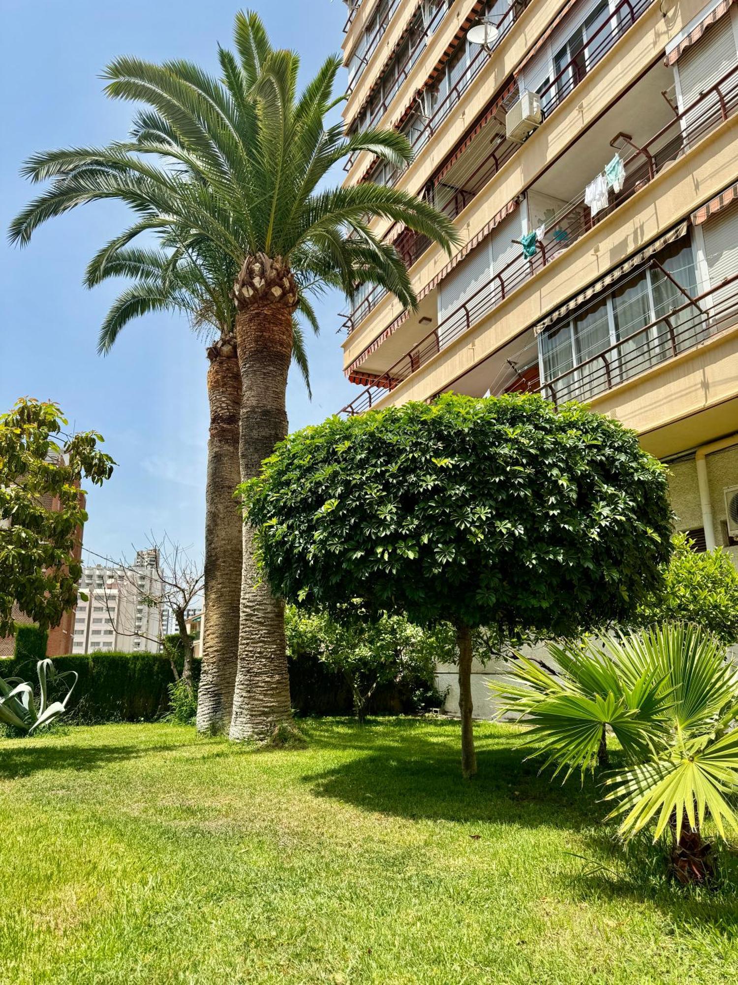 Piscis * Benidorm